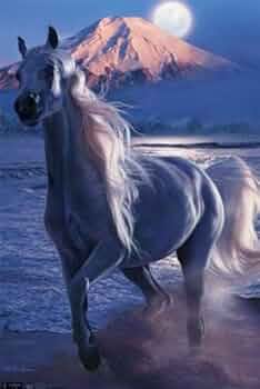 クリスチャン　ラッセン　オリオリ Yahoo!オークション - OS クリスチャン・ラッセン「 リーチング